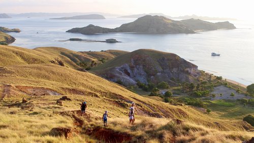 trekking di Pulau Rinca saat mengikuti open trip ke Labuan Bajo