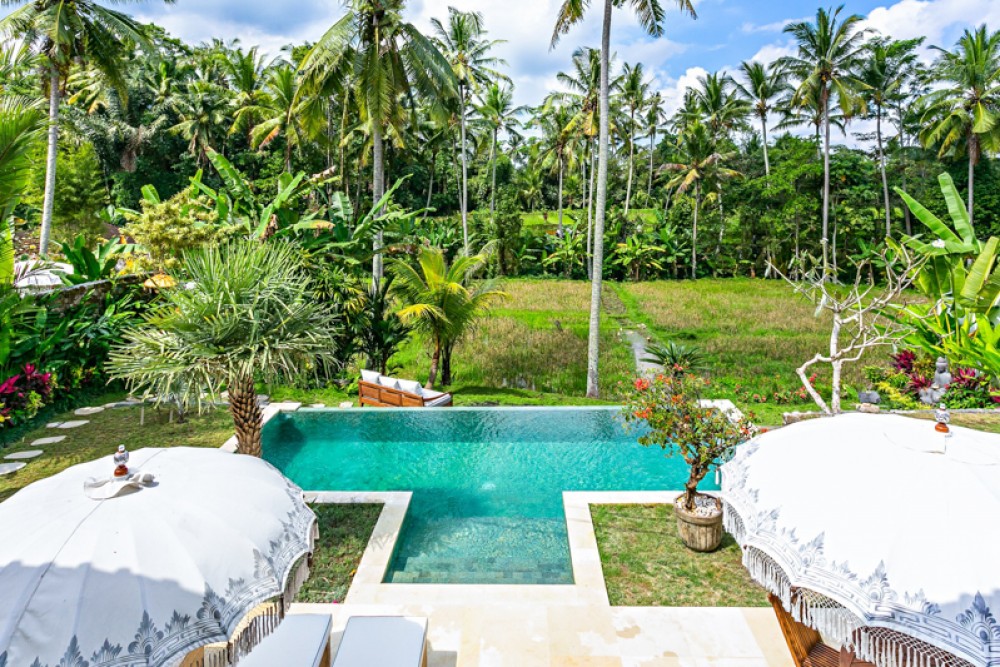 private pool di Villa Ubud
